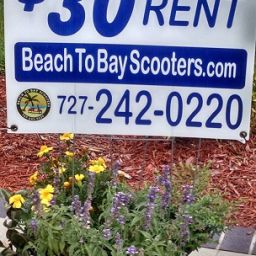 Beach to Bay Scooter Locations